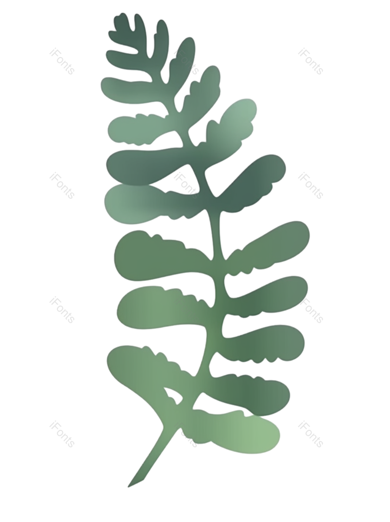 叶子图片,母亲节元素,父亲节PNG,请柬免抠素材